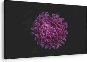 Obraz fialovej kvetiny (90x60 cm)