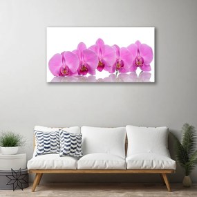 Obraz Canvas Ružová orchidea kvety 125x50 cm