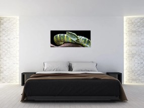 Obraz - Štrkáč Waglerov (120x50 cm)