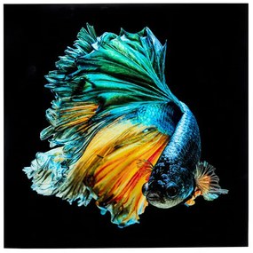 Queen Fish obraz sklenený viacfarebný
