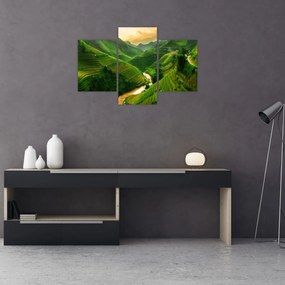 Obraz - Ryžové terasy Mu Cang Chai (90x60 cm)