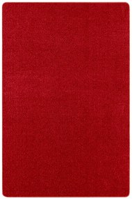 Hanse Home Collection koberce Kusový koberec Nasty 101151 Rot - 200x300 cm