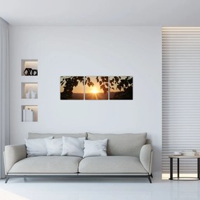 Západ slnka - obraz