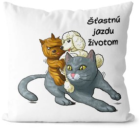 Vankúš Jazda životom – mačka (Velikost: 55 x 55 cm)