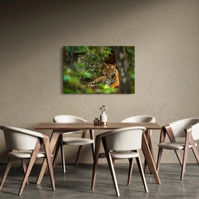 Obraz odpočívajúceho tigra (90x60 cm)