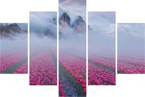 Obraz - Krajina s tulipánovými poľami (150x105 cm)
