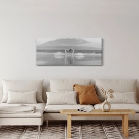 Obraz - Zamilované labute (120x50 cm)