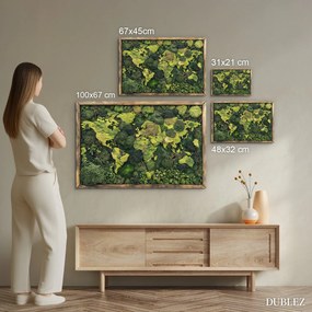 DUBLEZ | Machová imitácia mapy sveta - Obraz