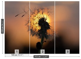 Fototapeta Vliesová Púpava slnka. 208x146 cm