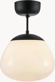 Stropná lampa Rise