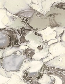 BE Koberec Myra 1531 BEIGE – béžový obdĺžnikový Rozmer: 60x100 cm