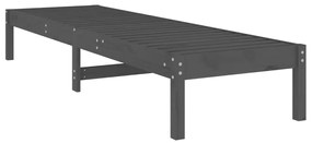 Lehátko na opaľovanie sivé 199,5x60x74 cm masívna borovica