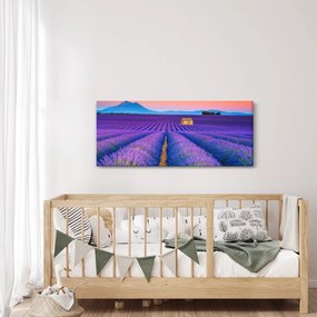 Obraz - Levanduľové pole (120x50 cm)