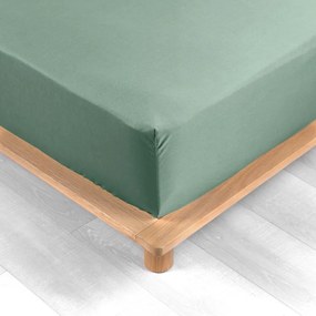 Zelená napínacia plachta z bavlneného perkálu 180x200 cm Percaline – douceur d'intérieur