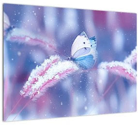 Sklenený obraz - Motýle v zime (70x50 cm)