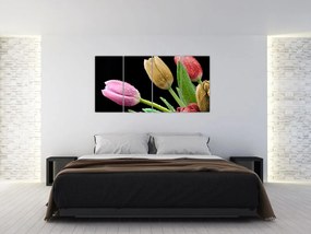 Tulipány - obraz
