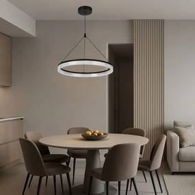 Rabalux 72478 - LED stmievateľný luster na lane SERAPHIEL 24W/230V 3000-6500K+DO
