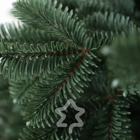 Smrek Oregon extra hustý 180 cm