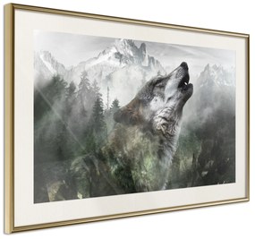 Artgeist Plagát - Howling Wolf [Poster] Veľkosť: 30x20, Verzia: Zlatý rám s passe-partout