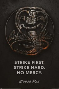 Plagát, Obraz - Cobra Kai - Metal, (61 x 91.5 cm)