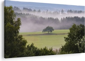 Obraz lúky so stromom (90x60 cm)