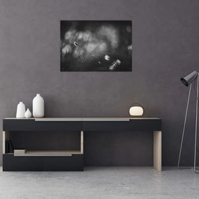 Obraz - Lúčna tráva (70x50 cm)