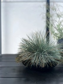 Okrasná miska PLANA, sklolaminát, 9xØ34 cm, antracit