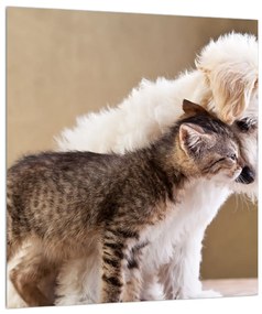 Obraz mačky so psom (30x30 cm)