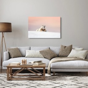 Obraz - Ľadový medveď (90x60 cm)