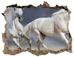 Díra 3D fototapeta na stěnu White horse beach nd-k-106869148