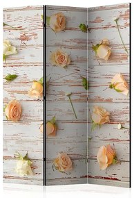Paraván - Wood & Roses [Room Dividers]