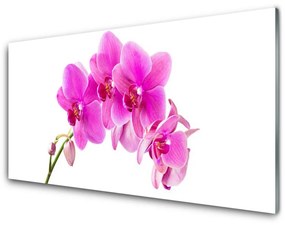 Skleneny obraz Vstavač kvet orchidea 140x70 cm