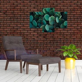 Obraz - Opuncie (90x60 cm)