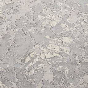Sivý/béžový koberec 220x160 cm Apollo - Think Rugs