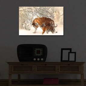 Obraz s LED osvetlením TIGRI V SNEHU 81 45 x 70 cm