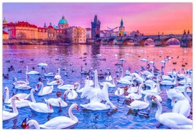 Obraz - Praha (90x60 cm)