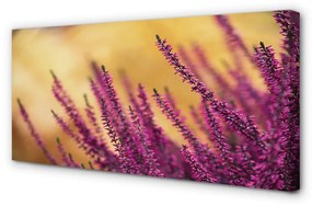 Obraz canvas kvety 125x50 cm