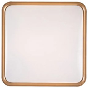 Rabalux 71029 - LED stropné svietidlo LIATRIS LED/26W/230V 3000K