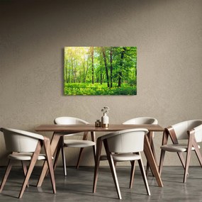 Obraz - Jarný listnatý les (90x60 cm)
