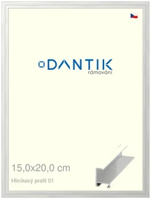 DANTIK rám na obraz 15x20 | ALU Stříbrná lesklá (Sklo Čiré)