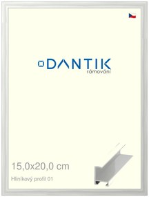 DANTIK rám na obraz 15x20 | ALU Stříbrná lesklá (Sklo Čiré)