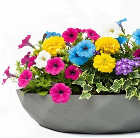 Okrasná miska CAVERO, sklolaminát, priemer 32 cm, sivá