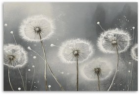 Gario Obraz na plátne Púpavy v odtieňoch šedej Rozmery: 100 x 70 cm