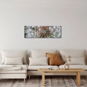 Obraz púpavy (s hodinami) (90x30 cm)