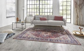 Hanse Home, Kusový koberec Asmar 104000 Plum / Red, 80x200, červená, chodba / predsieň