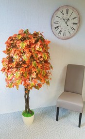 Hrozno jesenné klasik 200 cm