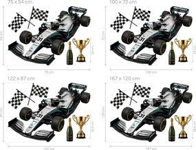 Strieborno-čierna formula F1 športové nálepky na stenu hárok 75 x 54 cm