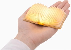 Prenosná svetelná dekorácia na USB v prírodnej farbe BookLight – Gingko