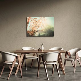Obraz - Rastliny po daždi (70x50 cm)