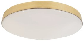 Stropné LED svietidlo Maya, 1x LED 15w, 4000k, g
